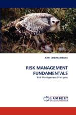 Risk Management Fundamentals af John Chibaya Mbuya