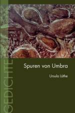 Spuren von Umbra af Ursula Lüthe