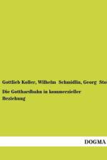 Die Gotthardbahn in kommerzieller Beziehung af Georg Stoll