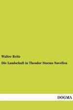Die Landschaft in Theodor Storms Novellen af Walter Reitz