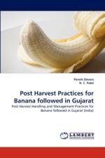 Post Harvest Practices for Banana followed in Gujarat af N C Patel