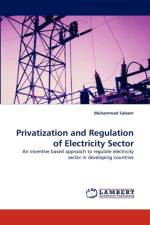 Privatization and Regulation of Electricity Sector af Dr Muhammad Saleem