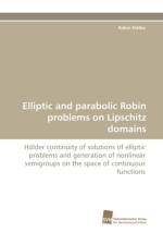 Elliptic and Parabolic Robin Problems on Lipschitz Domains af Robin Nittka