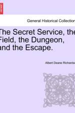 The Secret Service, the Field, the Dungeon, and the Escape. af Albert D Richardson