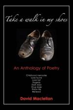 Take a Walk In My Shoes af David Maclellan