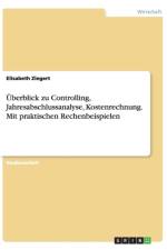 Uberblick Zu Controlling af Elisabeth Ziegert