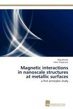 Magnetic interactions in nanoscale structures at metallic surfaces af Valeri Stepanyuk