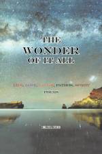 The Wonder of it All af Earl Fee