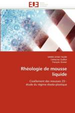 Rh ologie de Mousse Liquide af Collectif