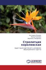 Strelittsiya Korolevskaya af Zhudrik Ekaterina