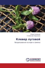 Klever Lugovoy af Kuznetsov Igor'