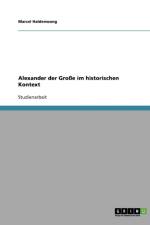 Alexander der Grosse im historischen Kontext af Marcel Haldenwang