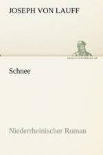 Schnee af Joseph Von Lauff
