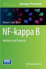 NF-kappa B