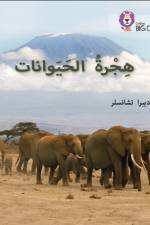 Animal Migration af Deborah Chancellor