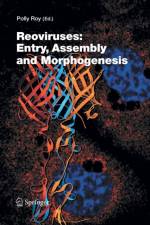 Reoviruses: Entry, Assembly and Morphogenesis