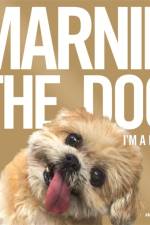 Marnie The Dog af Marnie the Dog