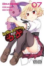High School DXD, Vol. 7 af Hiroji Mishima