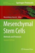 Mesenchymal Stem Cells