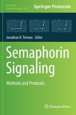 Semaphorin Signaling