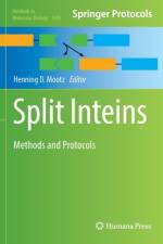 Split Inteins