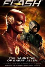 Flash: The Haunting of Barry Allen af Susan Griffith