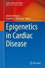 Epigenetics in Cardiac Disease