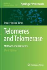 Telomeres and Telomerase