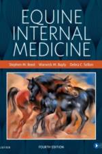 Equine Internal Medicine af Stephen M. (Associate Reed