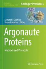 Argonaute Proteins