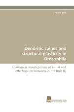 Dendritic Spines and Structural Plasticity in Drosophila af Florian Leiss
