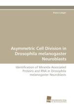 Asymmetric Cell Division in Drosophila Melanogaster Neuroblasts af Diana Langer