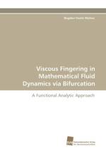 Viscous Fingering in Mathematical Fluid Dynamics Via Bifurcation af Bogdan-Vasile Matioc