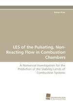 Les of the Pulsating, Non-Reacting Flow in Combustion Chambers af Balazs Pritz