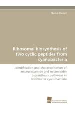 Ribosomal Biosynthesis of Two Cyclic Peptides from Cyanobacteria af Nadine Ziemert