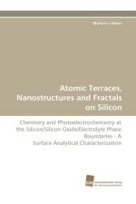 Atomic Terraces, Nanostructures and Fractals on Silicon af Michael Lublow