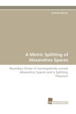 A Metric Splitting of Alexandrov Spaces af Andreas Worner