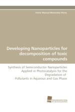 Developing Nanoparticles for Decomposition of Toxic Compounds af Victor Manuel Menendez Flores