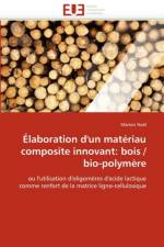 laboration d'Un Mat riau Composite Innovant af Noel-M