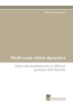 Multi-scale chiral dynamics af Bruns Peter Christian