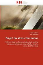 Projet Du Stress Thermique af Collectif