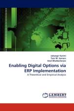 Enabling Digital Options Via Erp Implementation af Jahangir Karimi