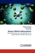 Heavy Metal Adsorption af Fawwaz Khalili