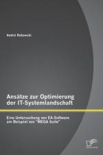 Ansatze zur Optimierung der IT-Systemlandschaft af Andre Rakowski