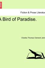 A Bird of Paradise.