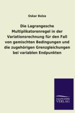 Die Lagrangesche Multiplikatorenregel in Der Variationsrechnung Fur Den Fall Von Gemischten Bedingungen Und Die Zugehorigen Grenzgleichungen Bei Varia af Oskar Bolza