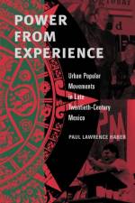 Power from Experience af Paul Lawrence (University of Montana) Haber