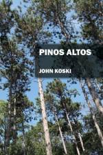 Pinos Altos af John Koski