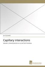 Capillary interactions af Jan Guzowski