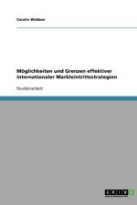 Moglichkeiten Und Grenzen Effektiver Internationaler Markteintrittsstrategien af Carolin Wobben